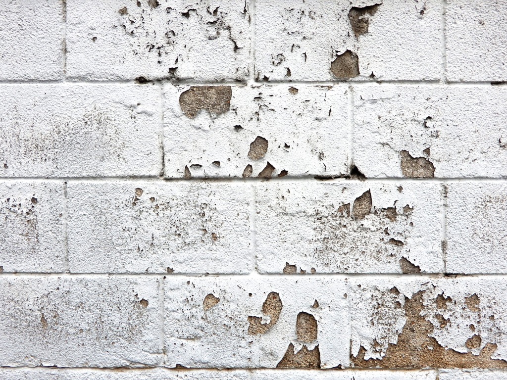 外壁塗装 剥がれ