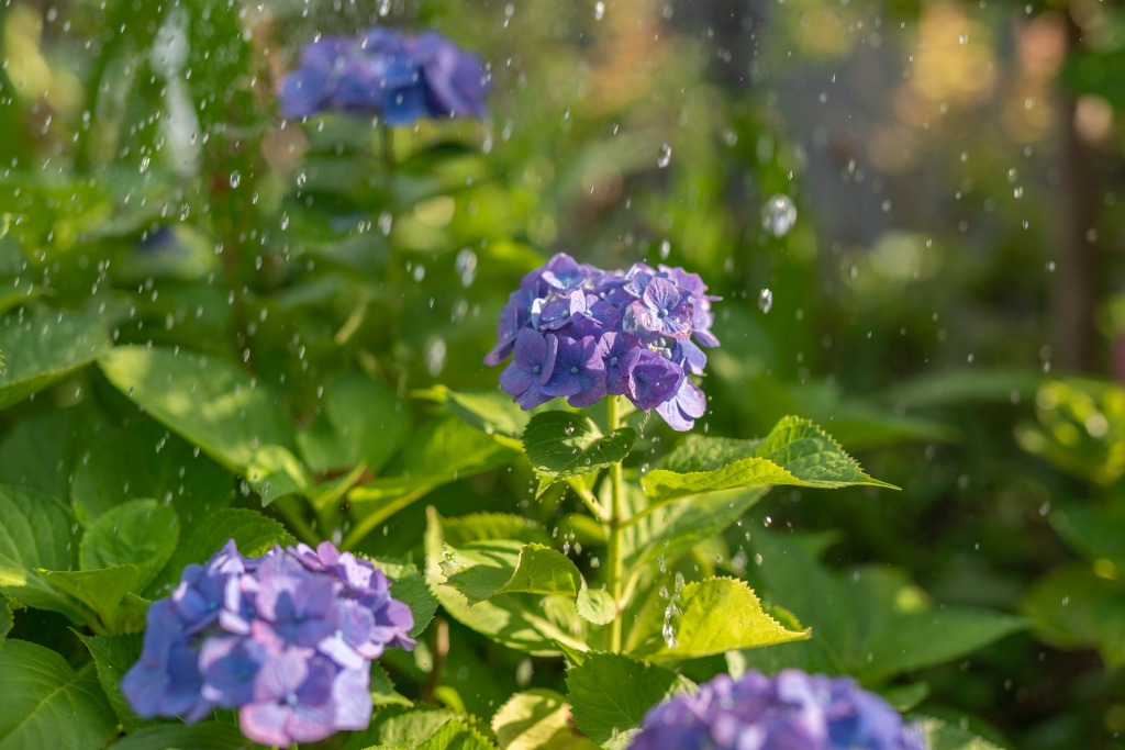 【外壁塗装】凍害とは【札幌にお住まいの方必見】